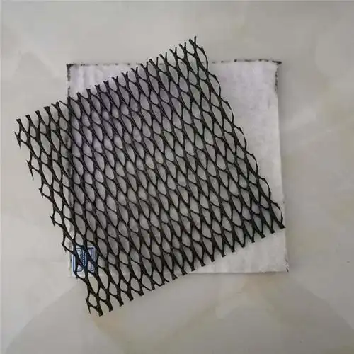 1739843295705.jpg